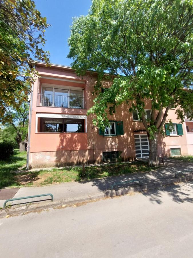 Anago Apartments Zadar Exterior photo